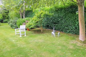 COMMUNAL GARDEN- click for photo gallery